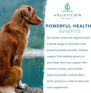 Canine Chlorella Tablets with Human Grade Fermented Chlorella for Dogs