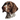 illustration head of a dog 