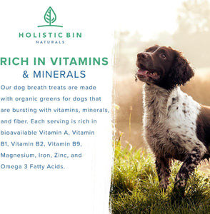 Canine Chlorella Tablets with Human Grade Fermented Chlorella for Dogs