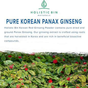 Korean Red Ginseng Powder Pure Panax Ginseng Supplement - 50 Grams / 40 Capsules