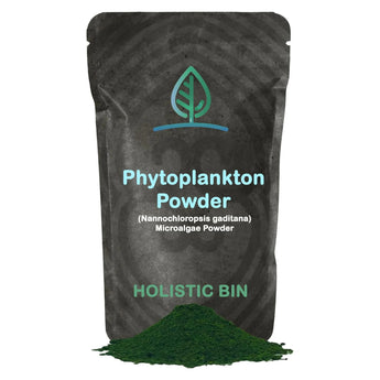 Marine Phytoplankton Powder (50 gr) or Capsule (40 counts)