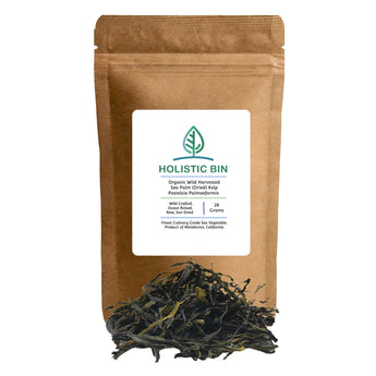 Wildcrafted Sea Palm Kelp - Vegan Whole Leaf Seaweed - 28 Grams